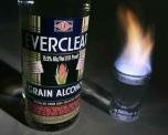 Everclear - Grain Alcohol (375)