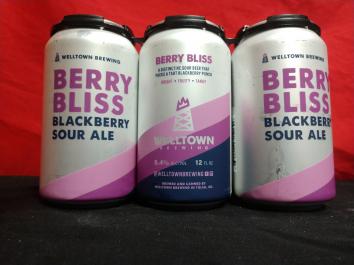 Welltown Brewing - Berry Bliss (6 pack 12oz cans) (6 pack 12oz cans)